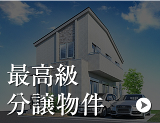 最高級分譲物件